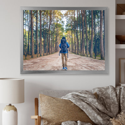 " Wilderness Forest Hike "
