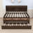 Tammeria Full / Double Daybed with Trundle-647689703