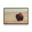 Prairie Bisons Set of 2 Wrapped Canvas, 32" x 48"-40276358-63027816-63027822