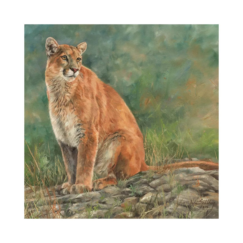 Cougar Sitting by David Stribbling - Wrapped Canvas Print, 45.72 cm H x 45.72 cm W x 3.175 cm D