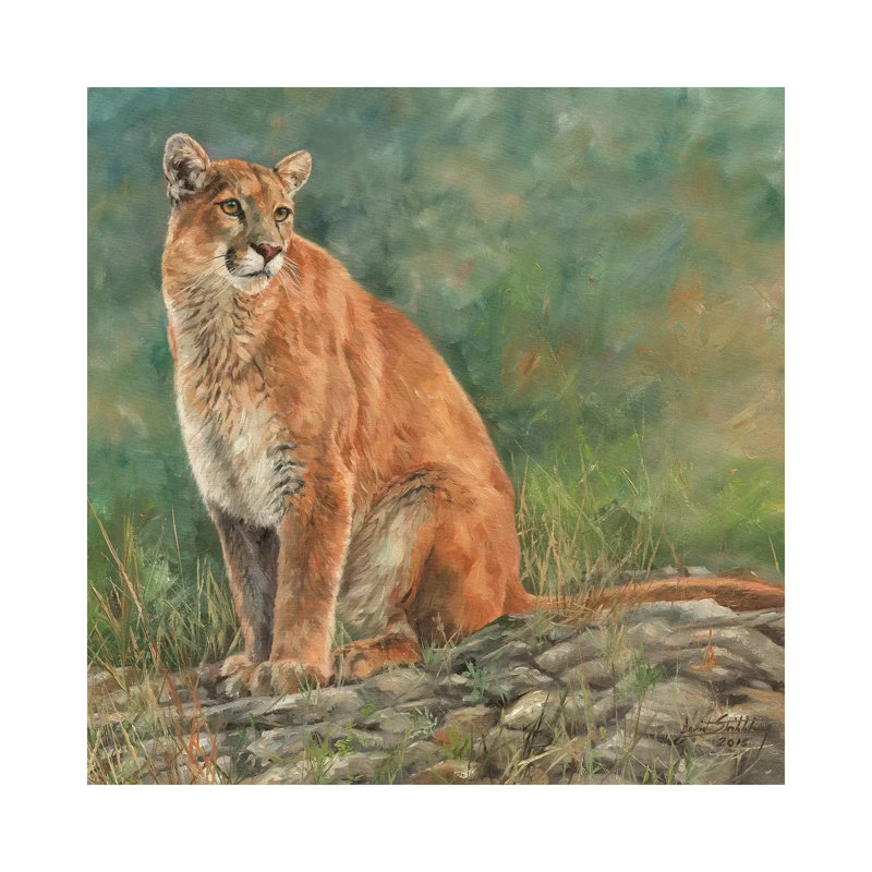 Cougar Sitting by David Stribbling - Wrapped Canvas Print, 45.72 cm H x 45.72 cm W x 1.91 cm D