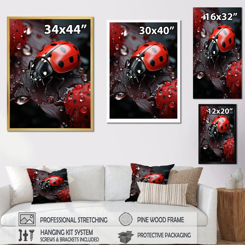 Yohanan Insectes Bugs Microcosmic Harmony II - Imprimé, Cadre simple noir, H 40 po x l 30 po x P 1,5 po