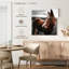 Brampt brillant cheval-109388151
