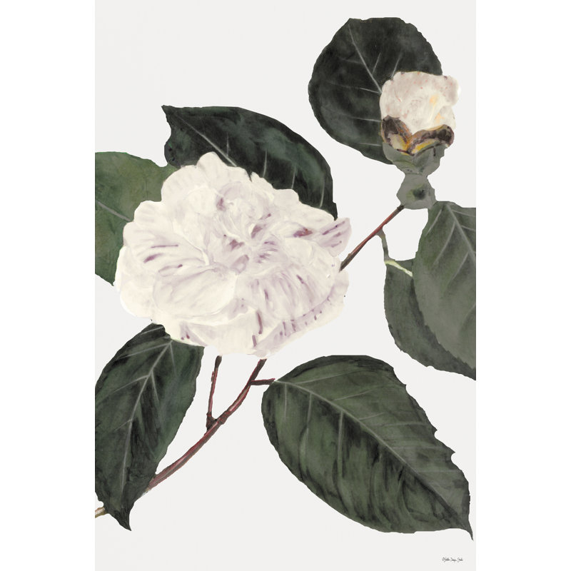 Blanc botanique I, H 18 po x l 12 po, Non, Toile tendue