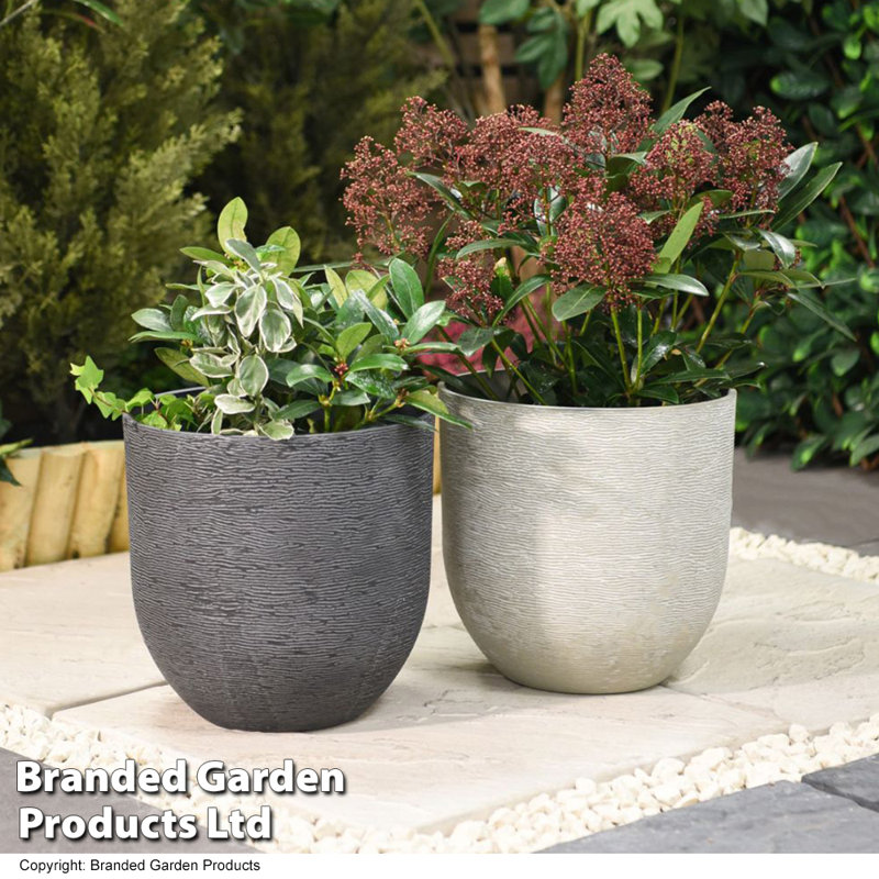 Pano Plant Pot - Twin Pack
