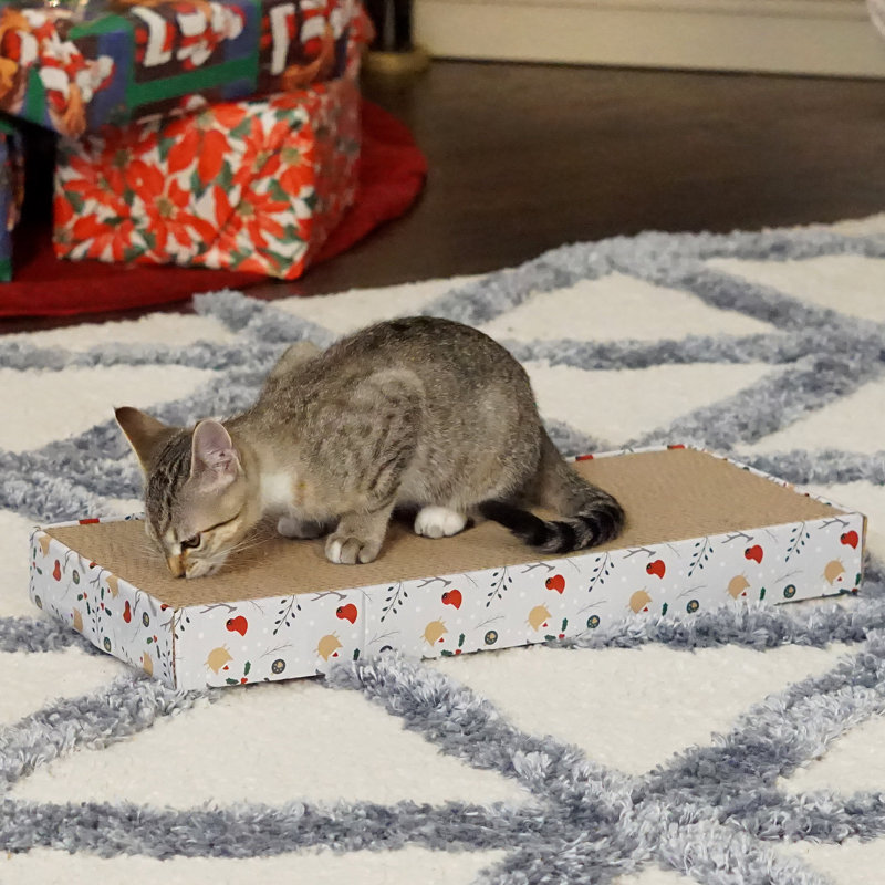 Furhaven Christmas Holiday Cat Scratcher