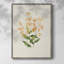 Impression florale vintage encadrée LXII - bois massif-334811025