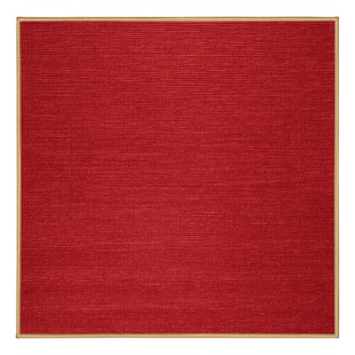 Machine Washable Solid Red Area Rug