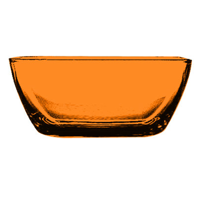 Polycarbonate Bowl - 12 Pieces