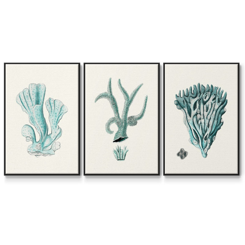 Ensemble de 3 pièces encadrées sur toile Antique Coastal Coral X, Noir, H 27 po x l 54 po