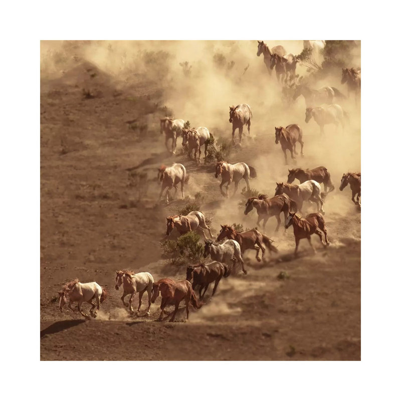Dusty by Sally Linden - Wrapped Canvas Print, 30.48 cm H x 30.48 cm W