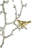 17X5.5X22" Metal Branch Wall Sculptures With Bird Accents, Set Of 2