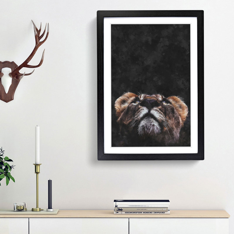 Lion Looking Upwards - Framed Print, 33cm H x 24cm W x 2cm D, Black Framed