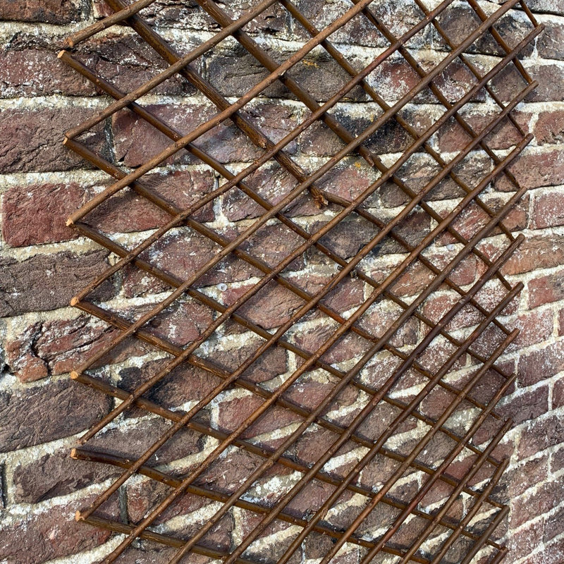 Andromede 180cm H Wood Expanding Trellis, 180" H x 60" W x 2" D