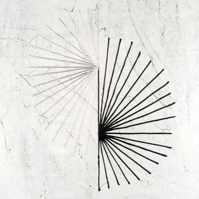 «Eunetta Offset Sunburst I on Canvas» par Michael Willett, reproduction