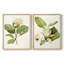 Impression encadrée MagnoliaFlowersI-Premium - prête à être accrochée - aucun clou requis - aucun clou requis-1277906600-1277906602