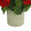 UV Protected Potted Geranium Arrangement