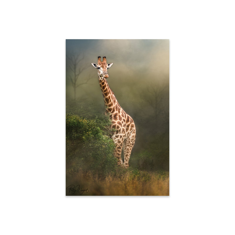 " Misty Morning Giraffe " Graphic Art Print