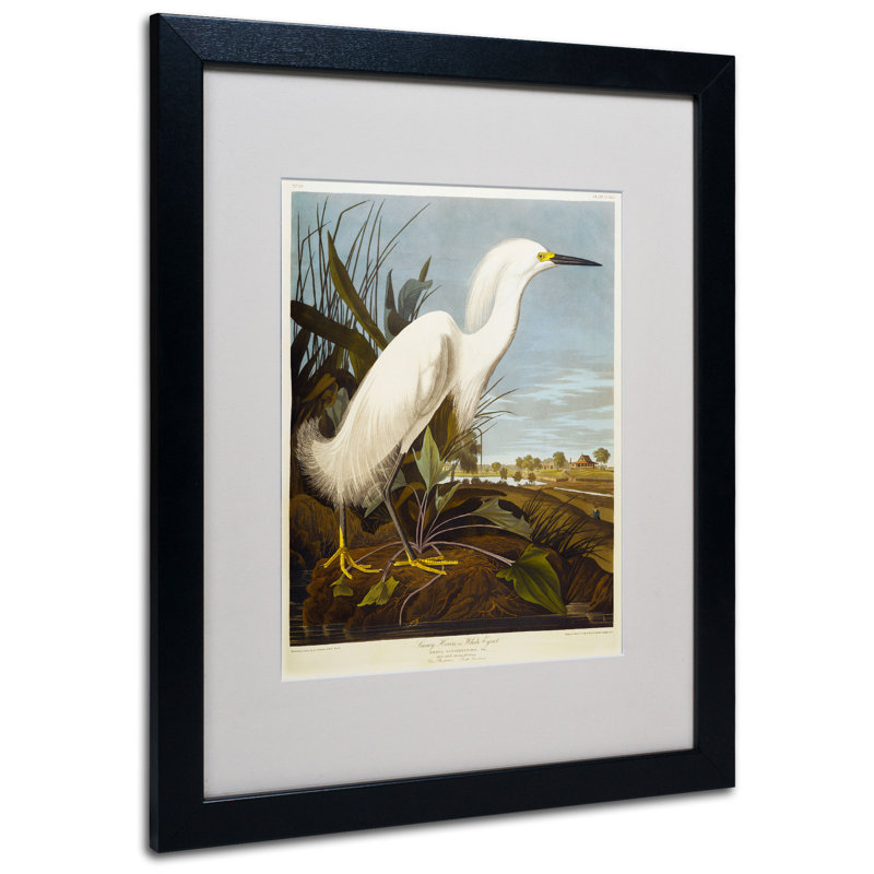 John Audubon - Cadre photo, reproduction d'art sur toile, H 20 po x l 16 po, Noir