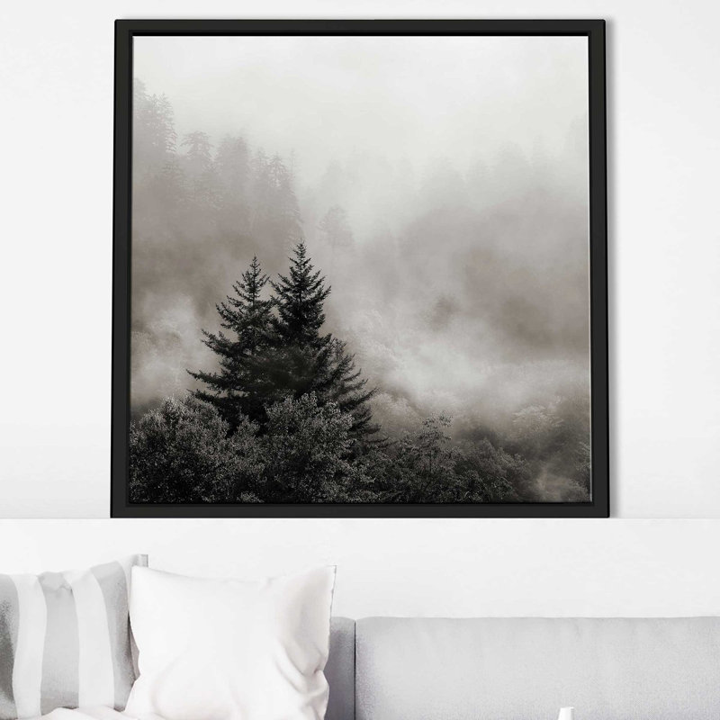 «Rising Mist, Smoky Mountains» par Nicholas Bell - photographie, Cadre flottant noir, H 27,5 po x l 27,5 po x P 2 po
