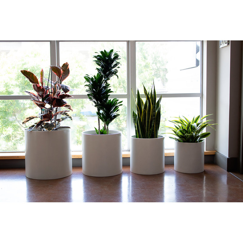 Pot à fleurs rond Brea, Blanc, H 12 po x l 12 po x P 12 po