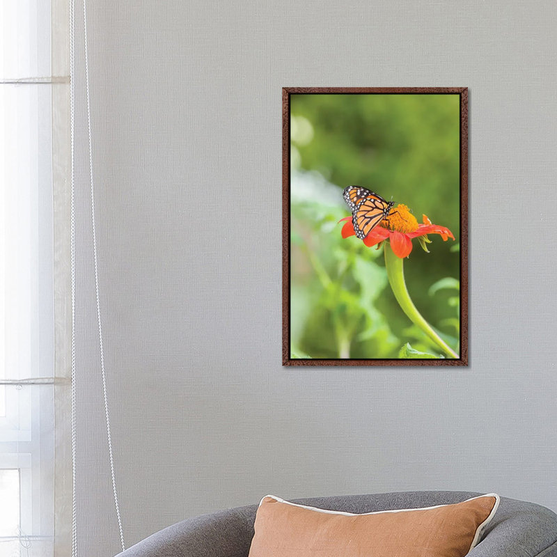Boundary I by Faith Evans-Sills - Gallery-Wrapped Canvas Giclée on Canvas, Classic Wood Framed, 66.04 cm H x 45.72 cm W