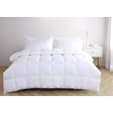 All Season Brushed Microfiber Down Alternative Comforter