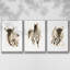 Rustic Bull II, ensemble de 3 toiles encadrées sur toile-1953006975-1953006972