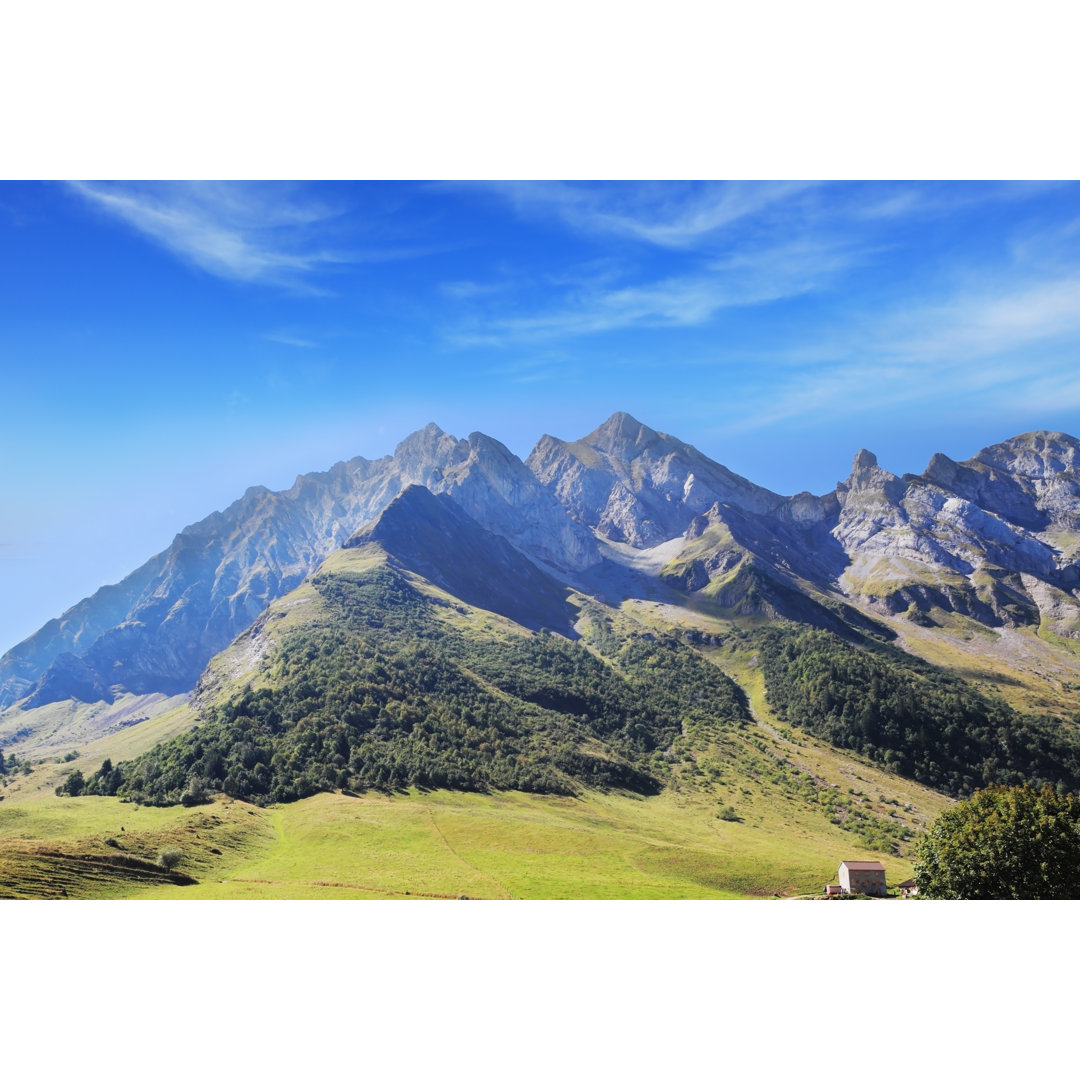 Leinwandbild Alpine Meadows