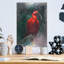 «Scarlet ibis» par Robert Campbell-1406144118