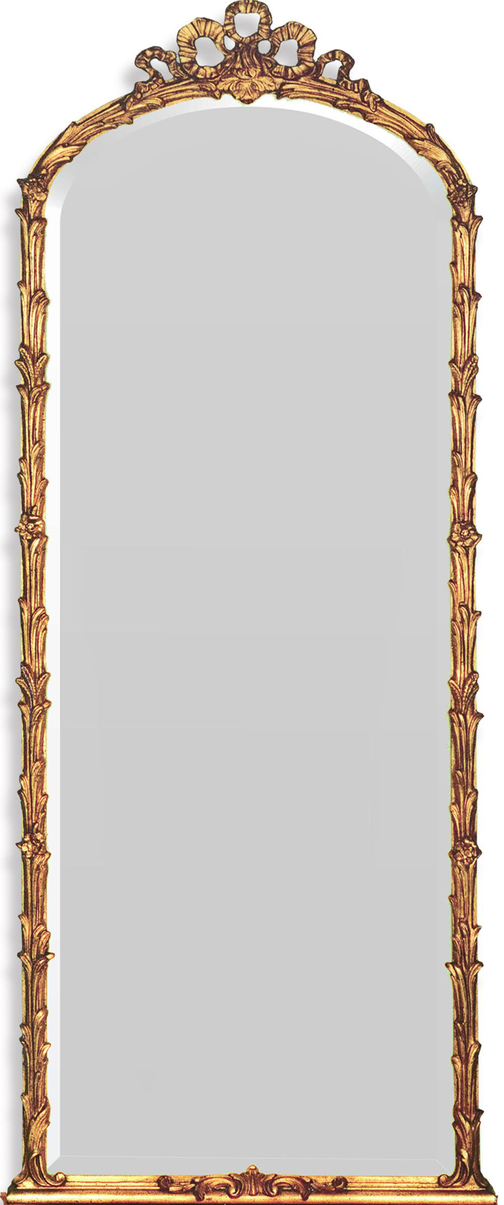 Friedman Brothers Littleton Traditional Beveled Full Length Mirror