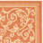 Arneshia Floral Terracotta/Natural Area Indoor/Outdoor Area Rug-2128888287