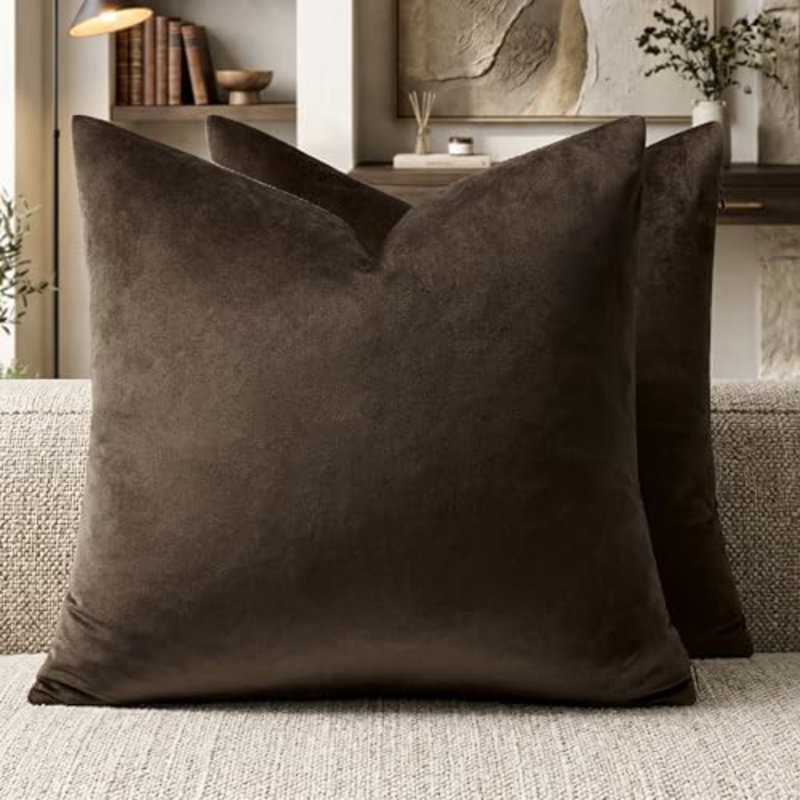 Ensemble de 2 coussins décoratifs en velours brun 18 x 18, Brown, Carré 18 po