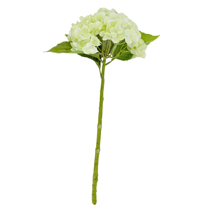 Grand Real Hortensia 1 tige Real Touch, Vert clair