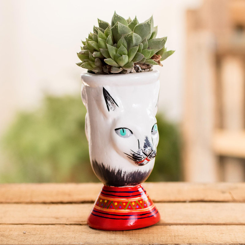 Clodfelter Handmade Ceramic Planter Box