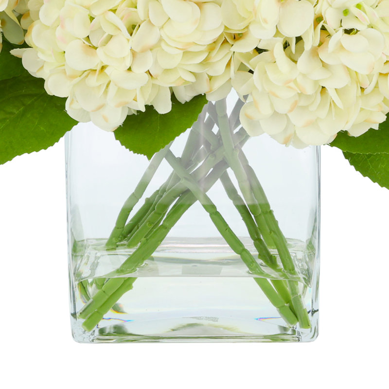 Hortensias en vase, Beige