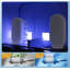Toothbrush Sanitizer Holder Wall-Mounted, 1 Compartment (White)