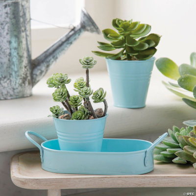 7 x 2 1/2 Inch Mini Dual Blue Metal Buckets in Tray Set - 3 Pc.