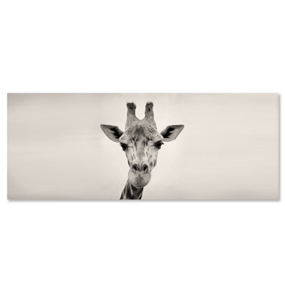 Courious Gariffe Print