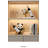 Kabel Tabletop Wine Bottle Rack Gold