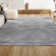 Asaiah Solid Low-Pile Light Gray Rug