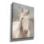 «White Beauty I» par Lori Deiter, art mural sur toile-1919480596
