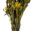 Preserved Arrangement