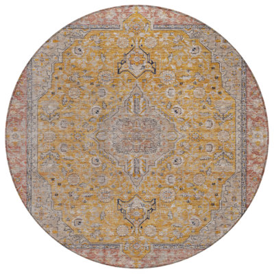 Tapis intérieur lavable 8 pi