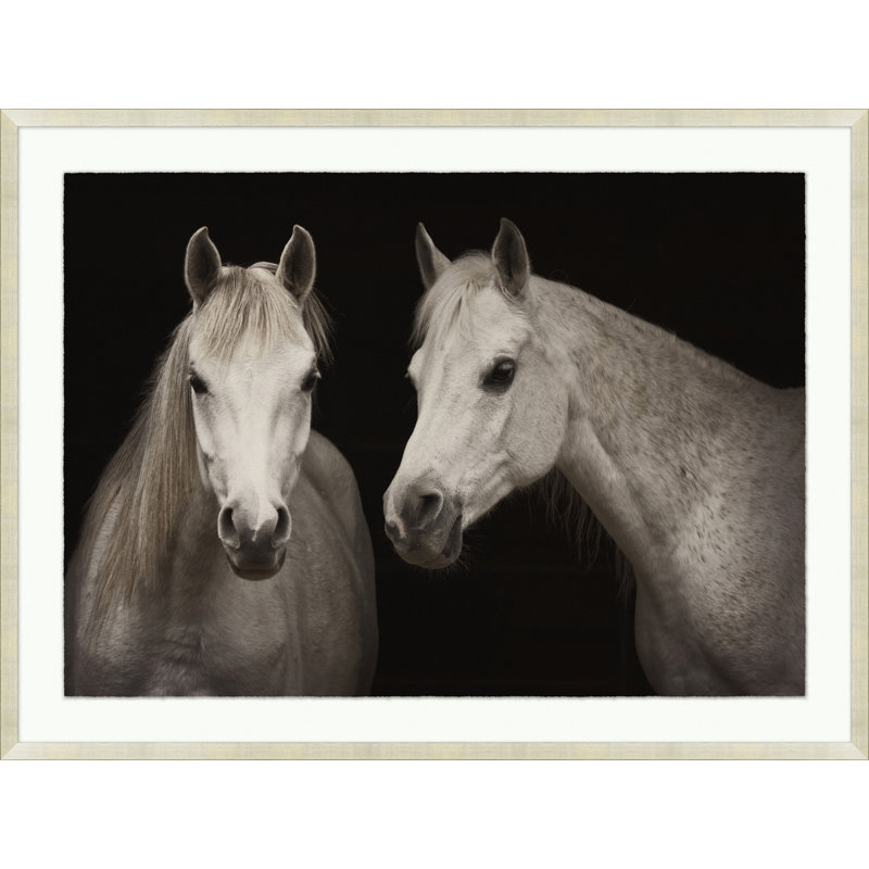 Stable Shadows Print by Lillian August