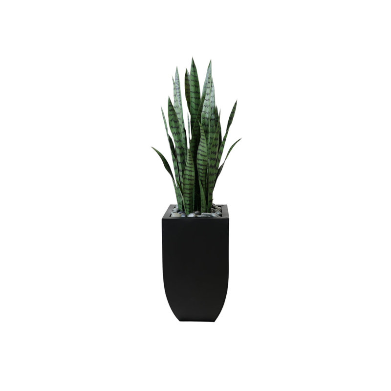 Jardinière 4 'H Faux Sansevieria avec pierres en étain noir