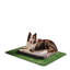 Orthopedic Microfibre Pet Bed-45408861-45431229