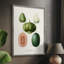 Reproduction encadrée de fruits et de légumes - bois massif-192918581