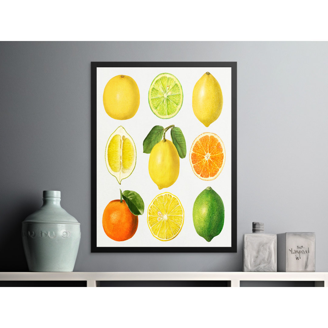 No Frame Print