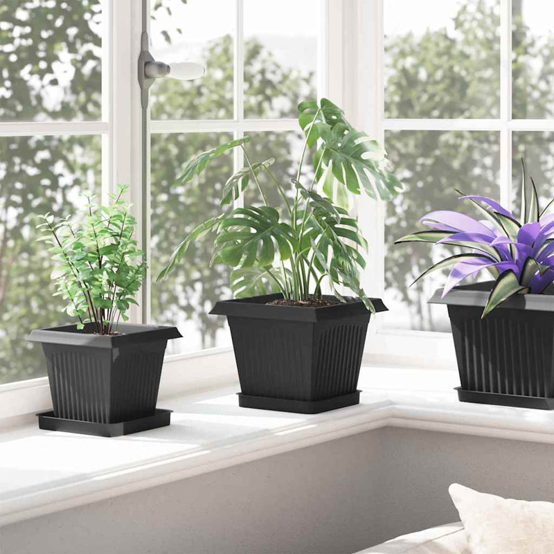  Square Flower Pot 6 Pcs Plastic, 16cm H x 20cm W x 20cm D, Black